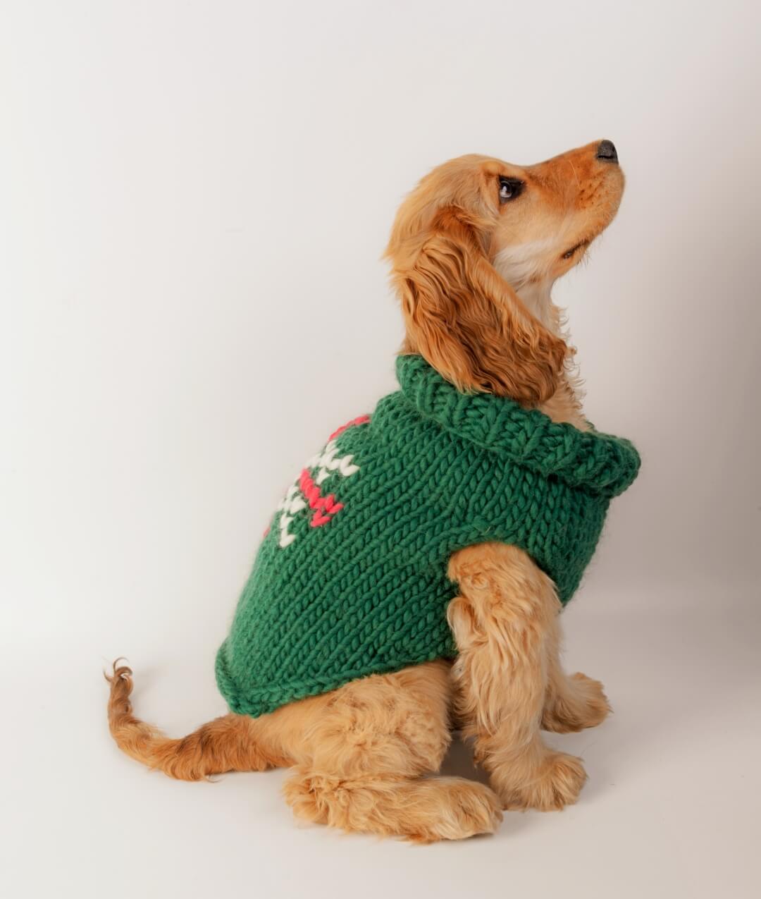 BRUNO DOG COAT - FREE PATTERN