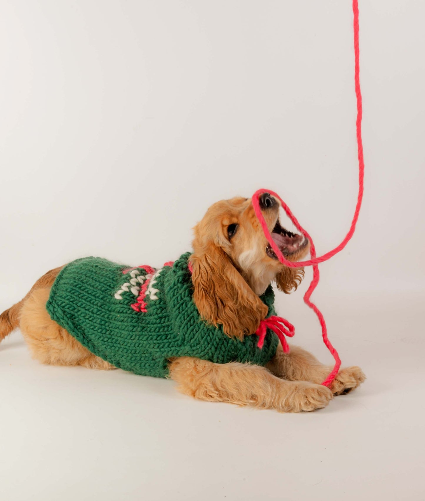 BRUNO DOG COAT - FREE PATTERN