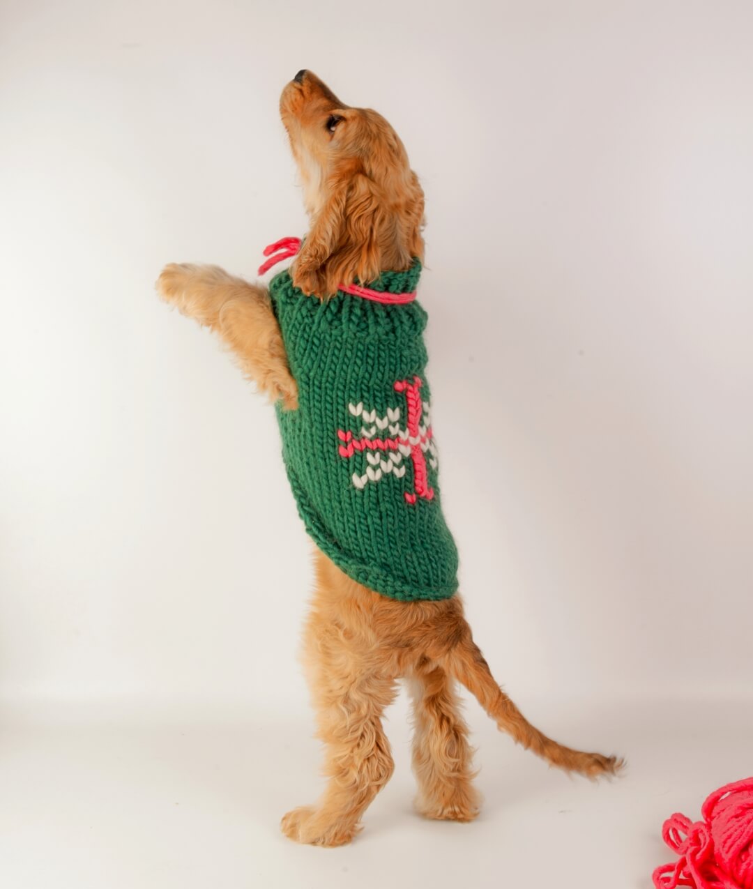 BRUNO DOG COAT - FREE PATTERN
