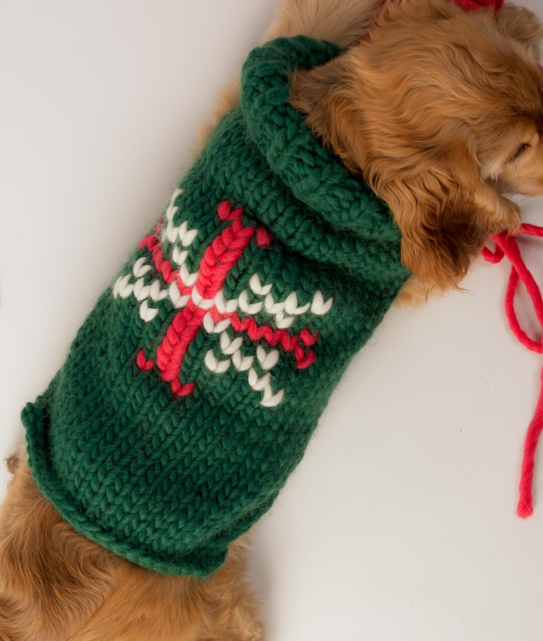 BRUNO DOG COAT - FREE PATTERN