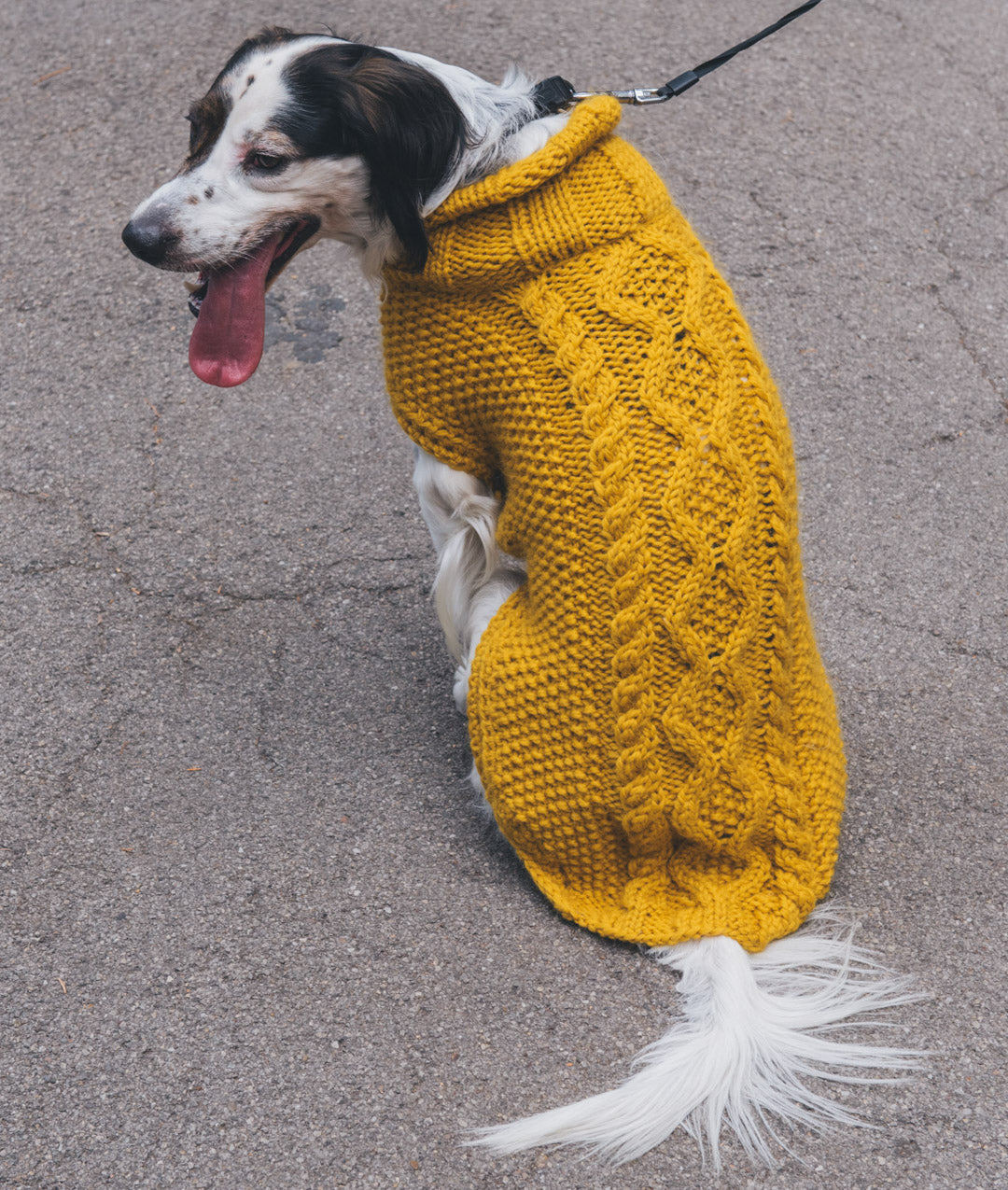 PAWS & STITCHES - DIGITAL PATTERN BUNDLE