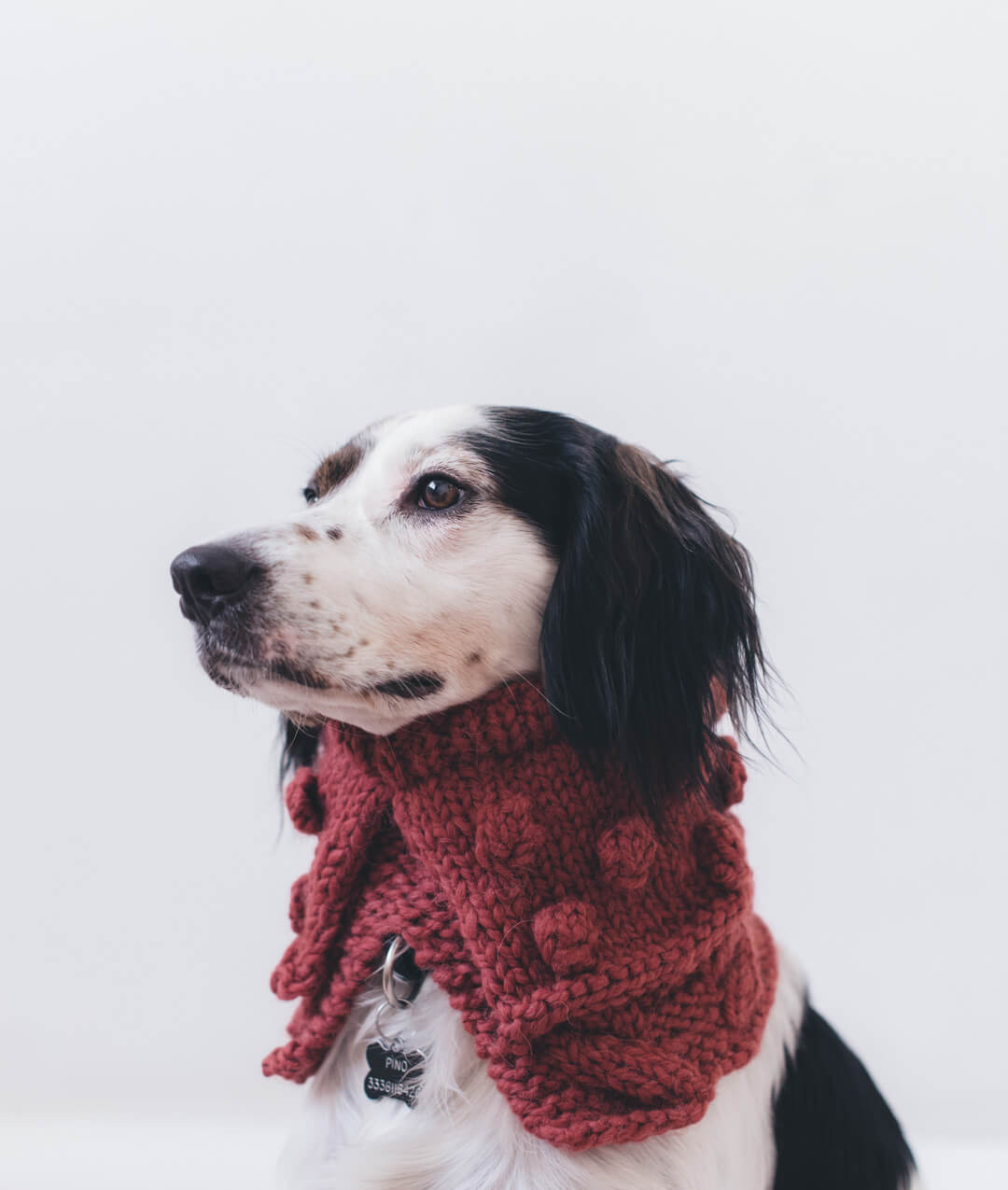 PAWS & STITCHES - DIGITAL PATTERN BUNDLE