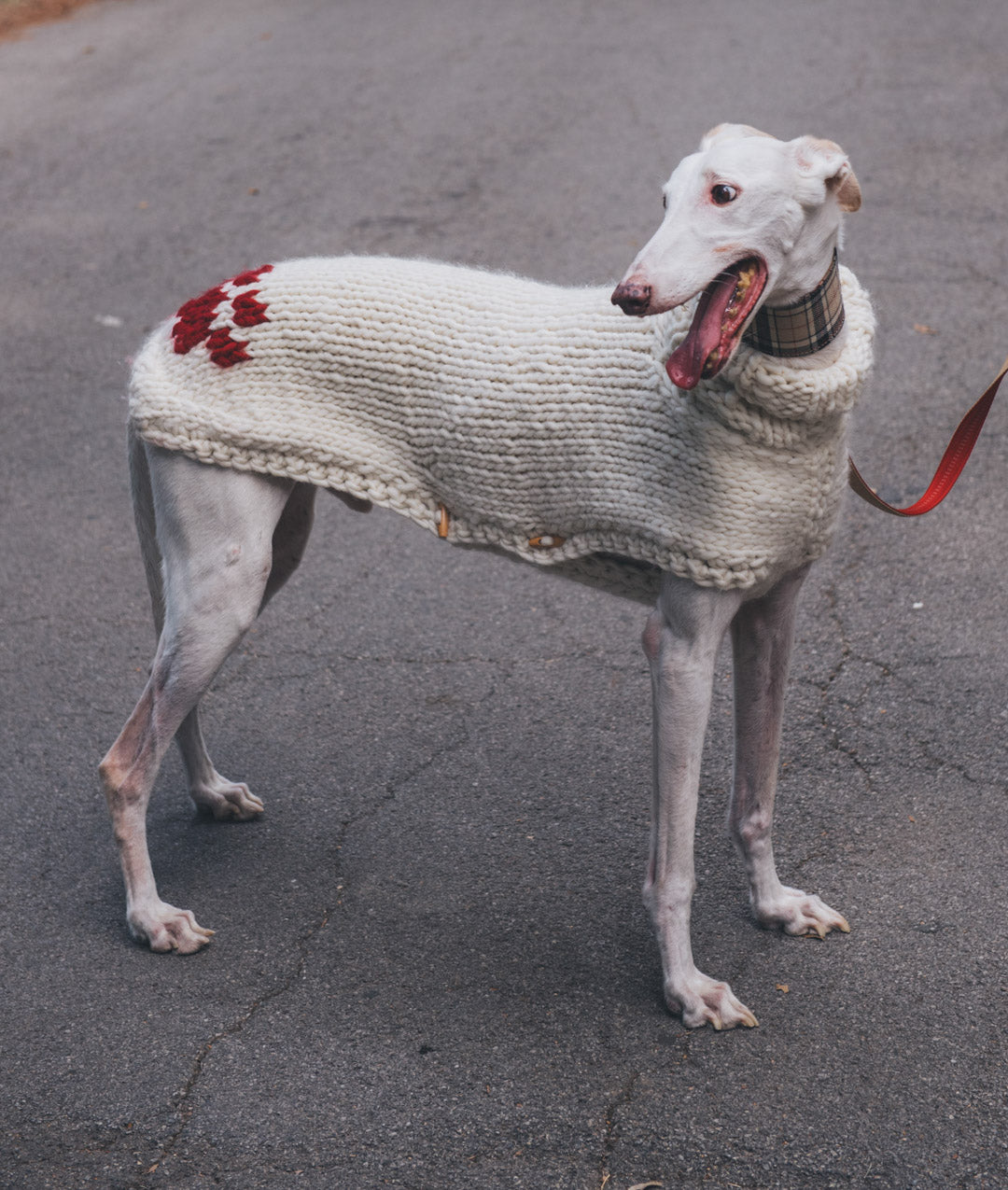 PAWS & STITCHES - DIGITAL PATTERN BUNDLE