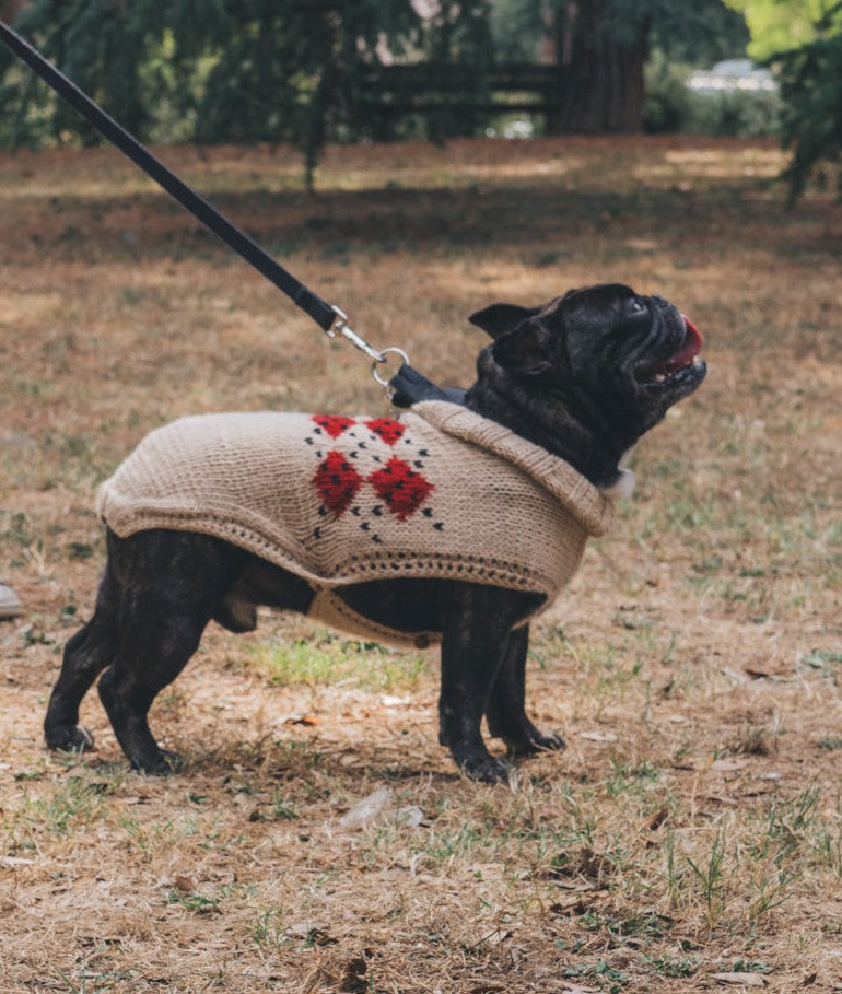 PAWS & STITCHES - DIGITAL PATTERN BUNDLE